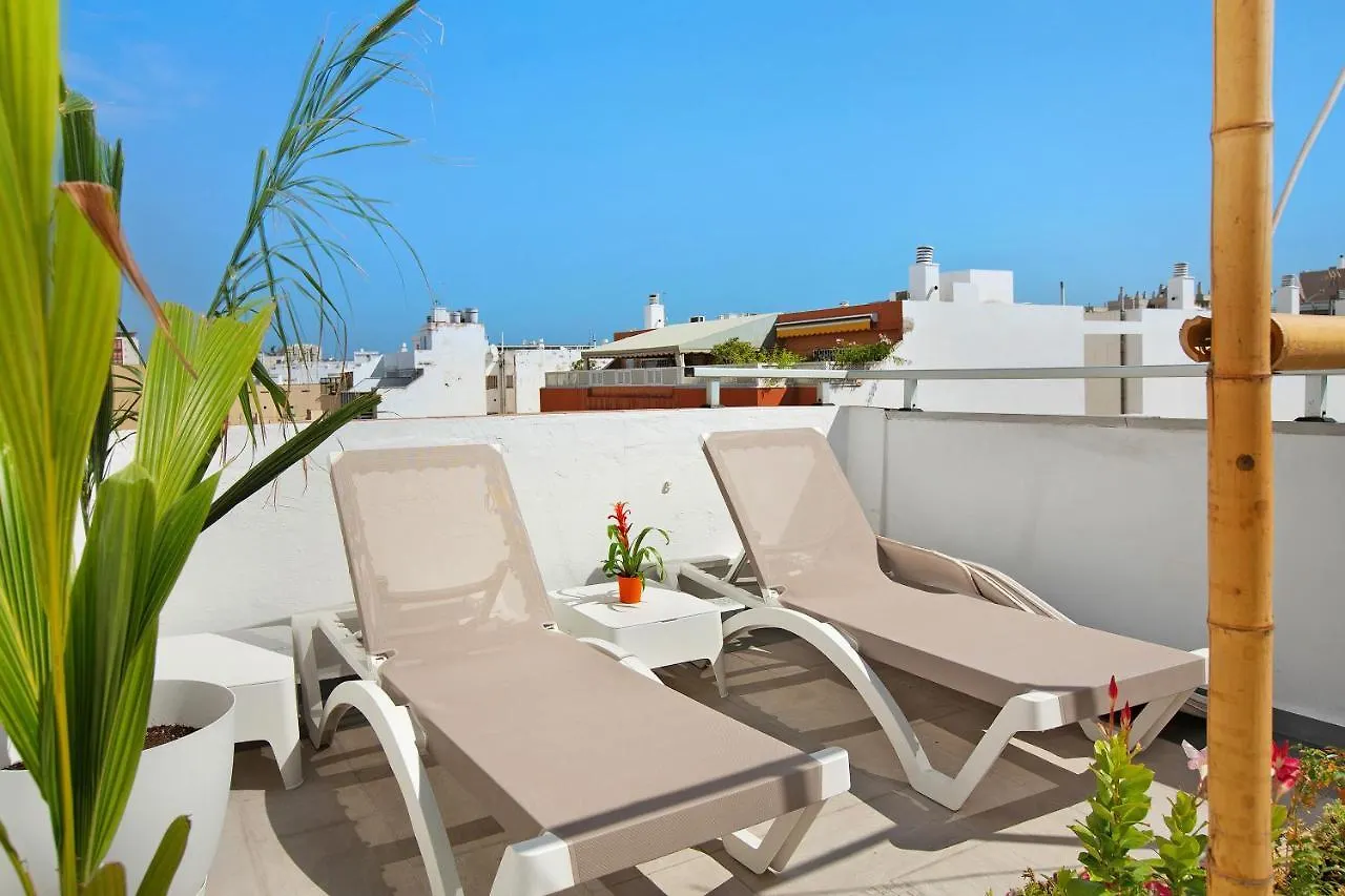 Estudio Massimo 7A Las Palmas de Gran Canaria 0*,